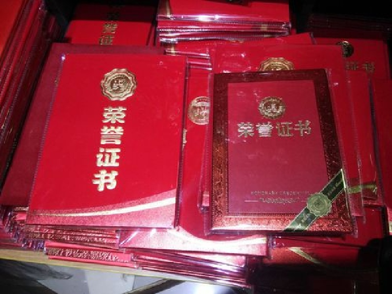 定制证书定制 定制证书定制-红金大气喜庆风